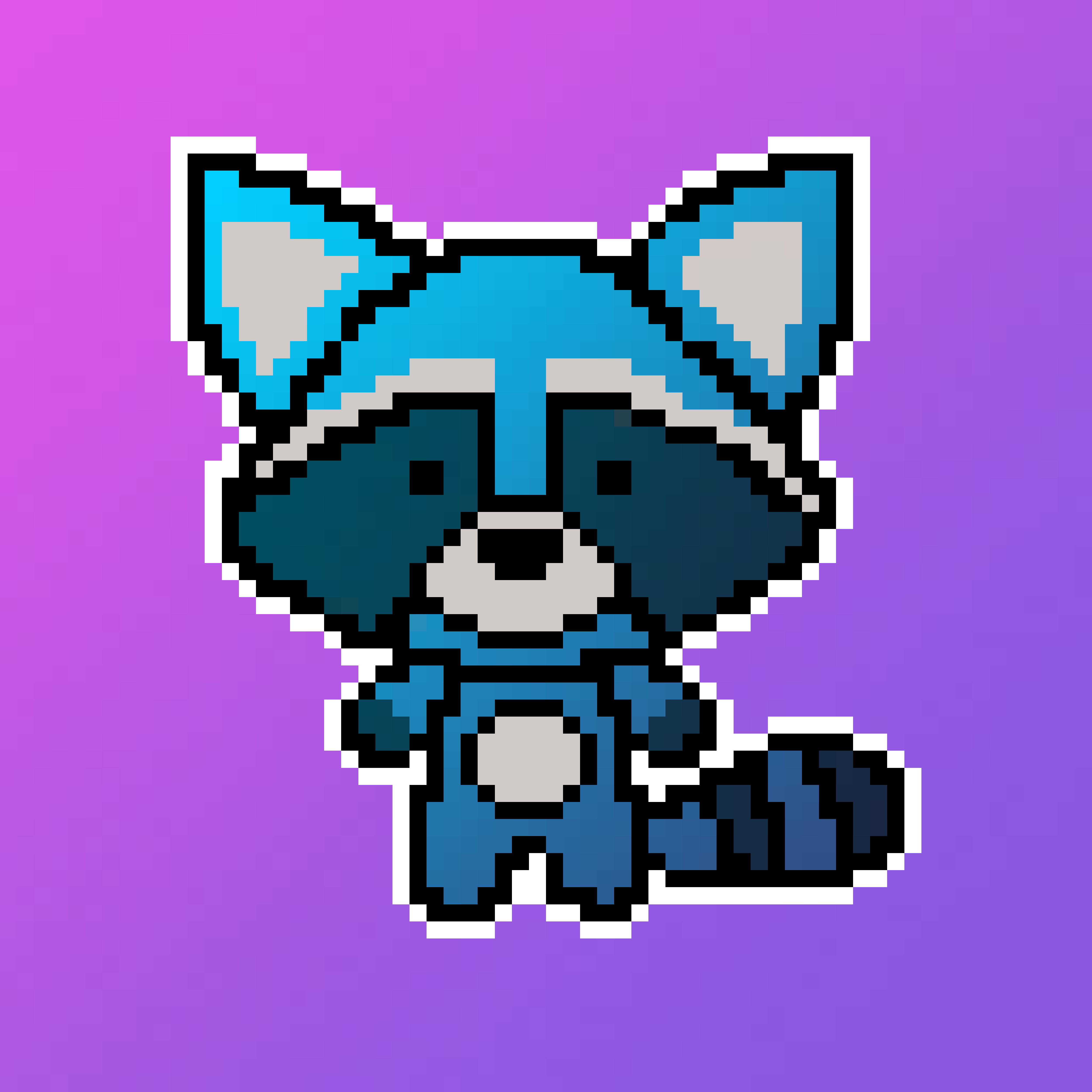 BLUEPURPLERACCOON