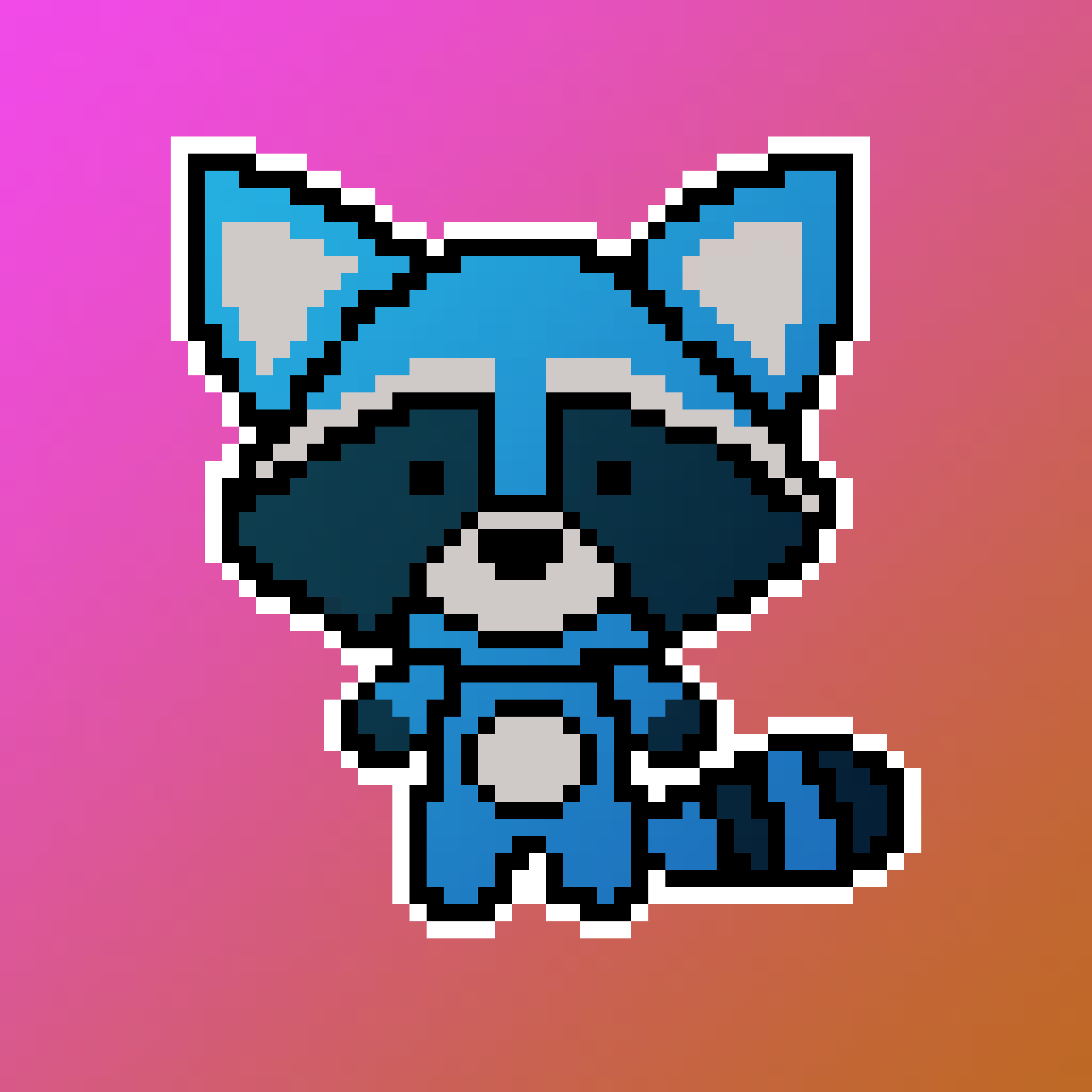 BLUERACCOON