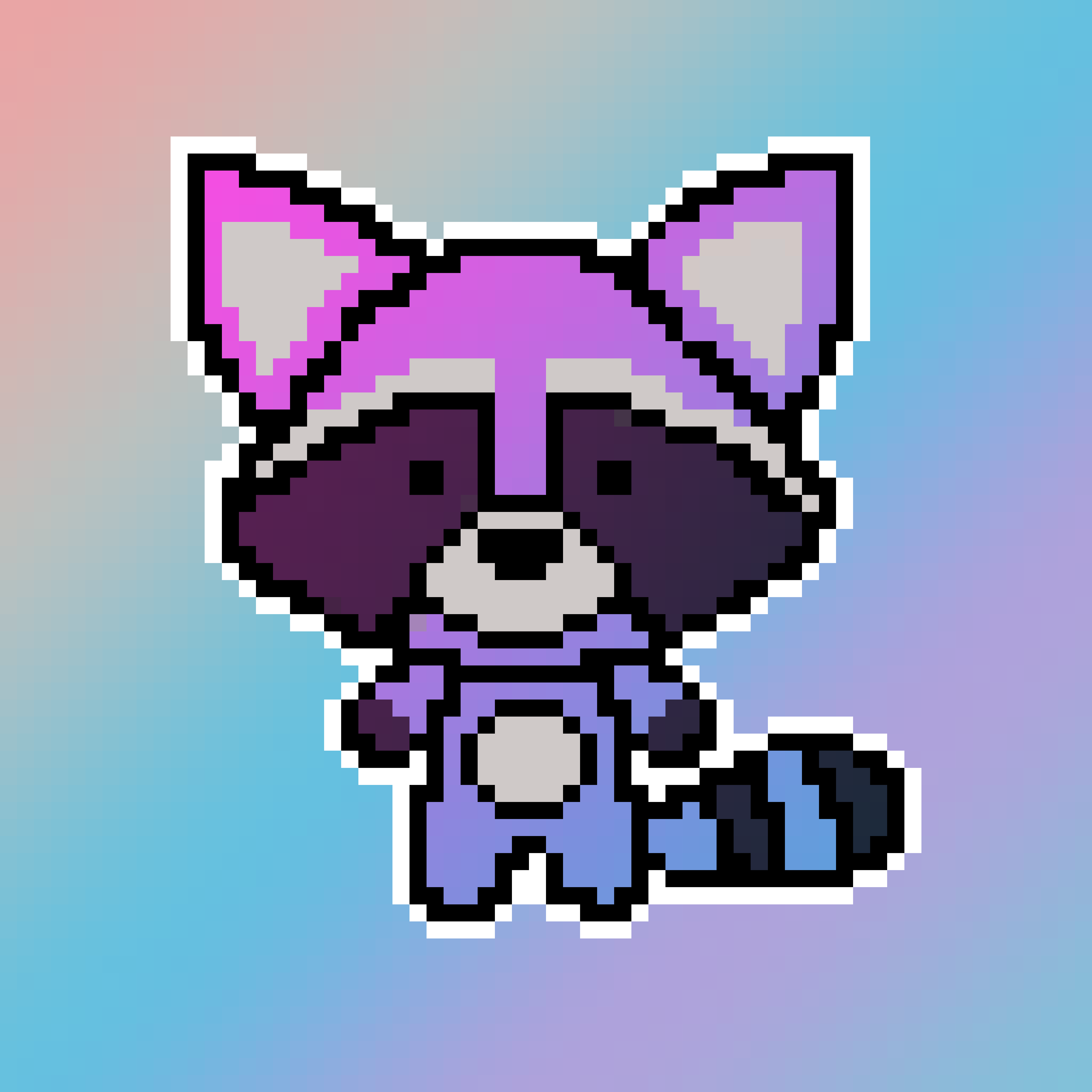 PINKCYANRACCOON