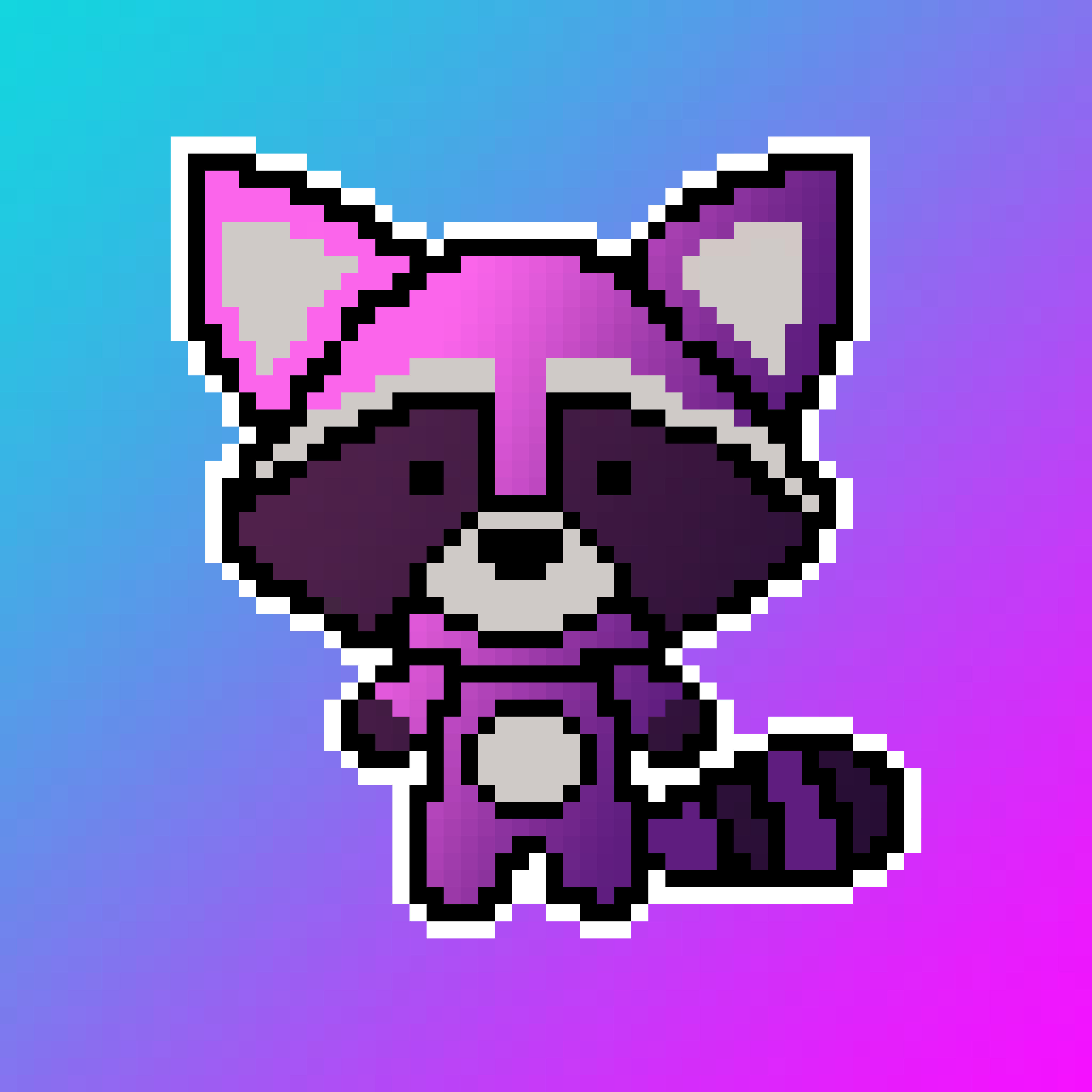 PINKRACCOON